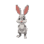 rabbit