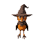 a robin who is a wizard with a big hat