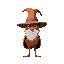 a robin who is a wizard with a big hat