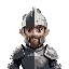 knight