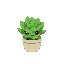  cute succulent plant avatar in a small round pot, with thick, fleshy green leaves arranged in a rosette shape, expressive face