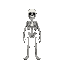 skeleton 