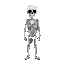 skeleton 