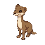 weasel
