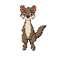 weasel