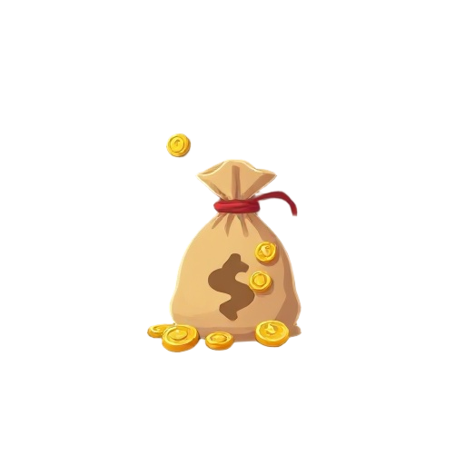 bag gold coins