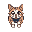 a cat facing viewer