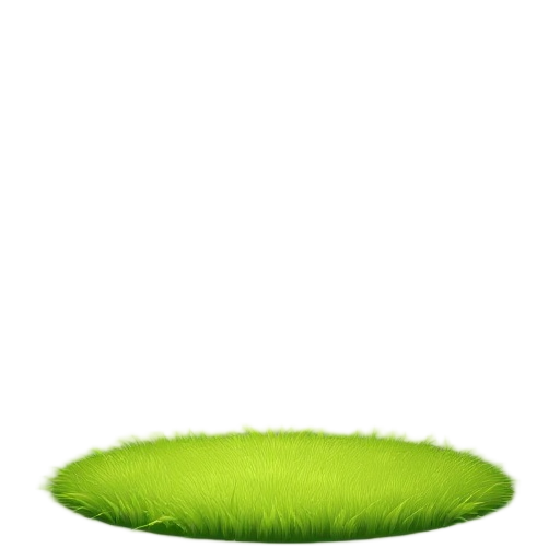 lawn with lush grass patch