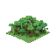 generate a amazon forest