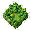 generate a amazon forest