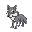 grey wolf animal