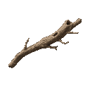 mopani drift wood branch