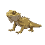 bearded dragon lizard on all fours, viewed from the side, 21x12 pixels