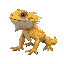 bearded dragon lizard on all fours, viewed from the side, 21x12 pixels