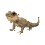bearded dragon lizard on all fours, viewed from the side, 21x12 pixels