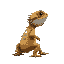 pet bearded dragon lizard viewed from the side, terraria style