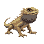 bearded dragon lizard on all fours, viewed from the side, 42x21 pixels