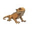 bearded dragon lizard on all fours, viewed from the side, 21x12 pixels