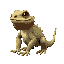 bearded dragon lizard on all fours, cute style