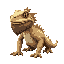 bearded dragon lizard on all fours