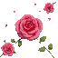 rose, pretty background, detailed, vibrant colors, top view