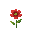 red flower