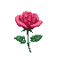 rose, pretty background, detailed, vibrant colors 