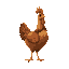 medieval  animal  chicken  designed for a retro-style farm simulation game.