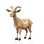 medieval  animal  goat  designed for a retro-style farm simulation game.
