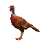 medieval  animal  pheasant  designed for a retro-style farm simulation game.