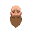 bald guy with beard
