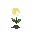 a plant related to moon