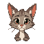 gato salvaje 