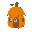 house pumpkin