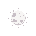 white blood cell