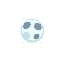 white blood cell