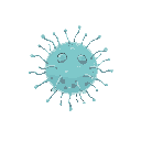 neisseria meningitidis bacterium