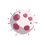 white blood cell