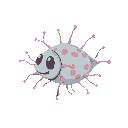 neisseria meningitidis