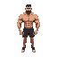 bodybuilder