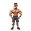 bodybuilder