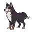 anthro mountain bernese dog