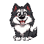 anthro mountain bernese dog