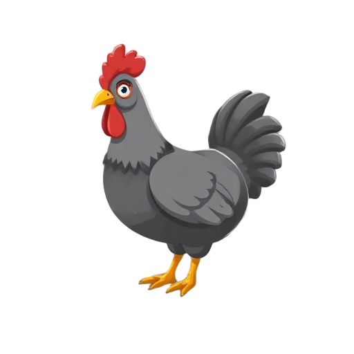 galinha de granja