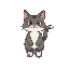 cat idle 