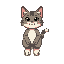 cat idle 2