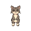 cat idle