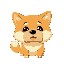 shiba dog had slice of bread on face
