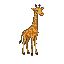 a 32x32 pixel art giraffe sprite, side view, clean black outline (1px), neutral standing pose. must include: simple torso, four leg attachment points, tail base.