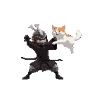 a samurai throwing a cat